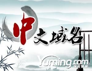英文域名山寨官網(wǎng)頻出，中文域名或成為新的品牌符號
