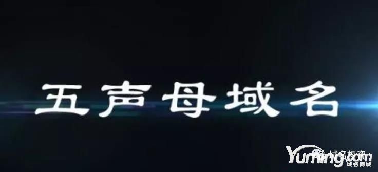 五聲母域名綻放異彩，“農產品博士”拍出大五位