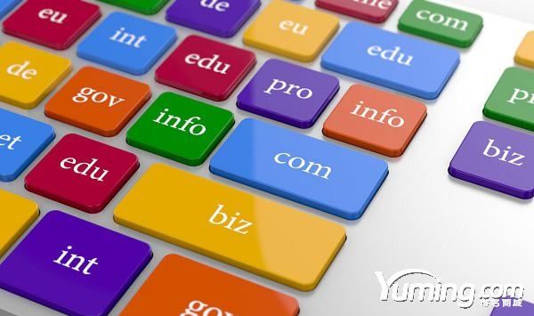 那些令人眼饞的好域名都在這家公司手里！