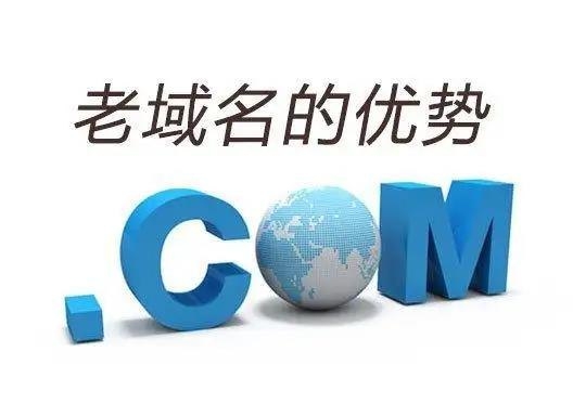 老域名有什么好處？怎么獲得老域名？