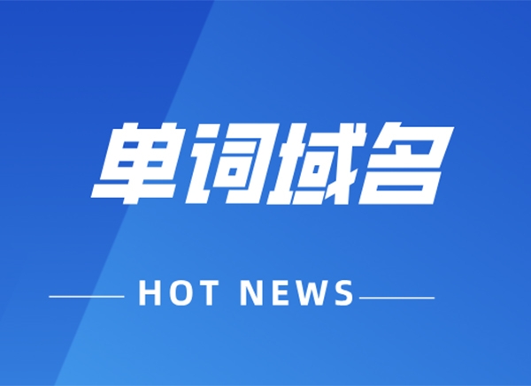 長單詞域名，23個字母賣出11萬元高價